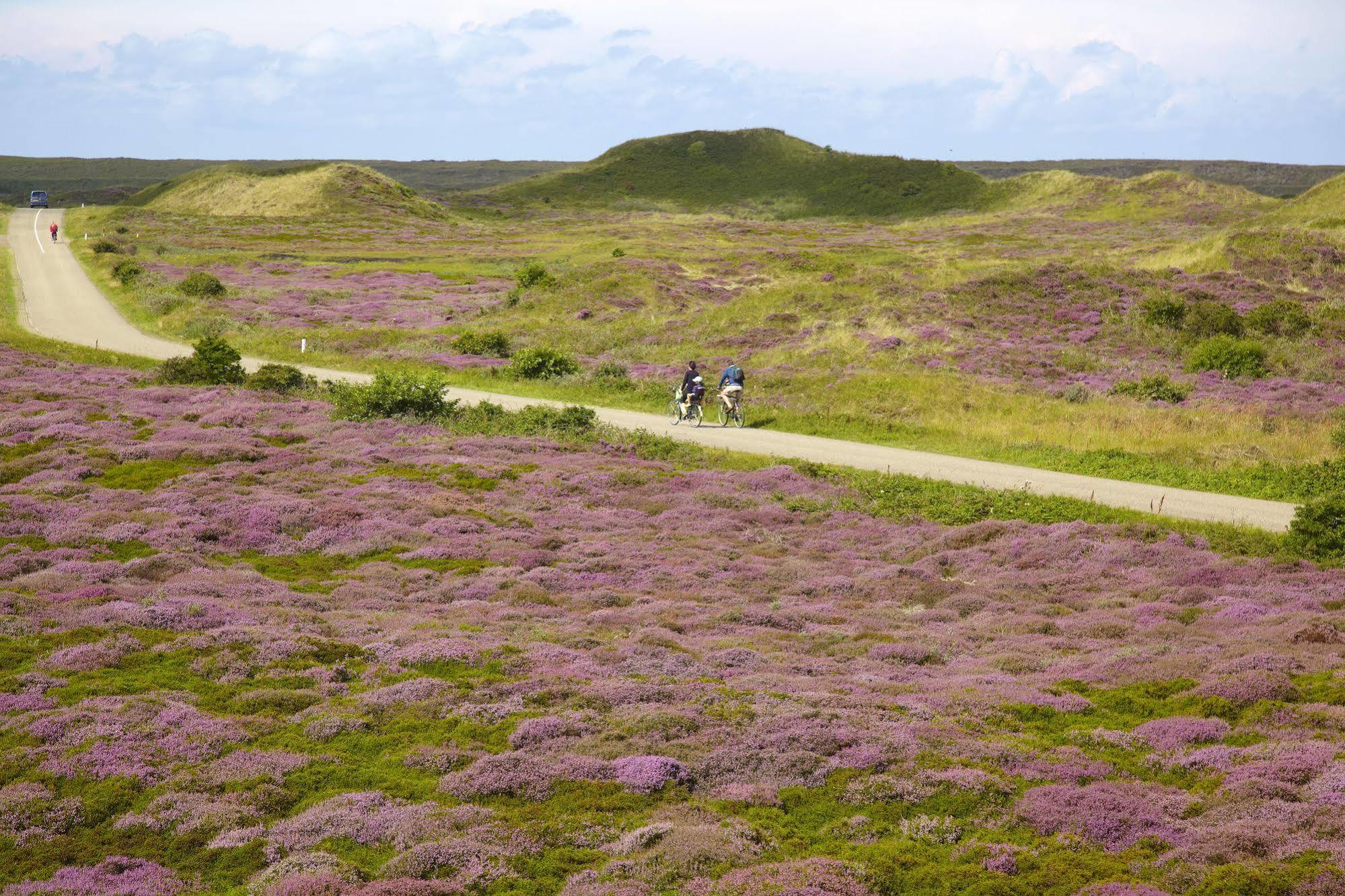 Hotel Molenbos Texel De Cocksdorp  Exteriér fotografie